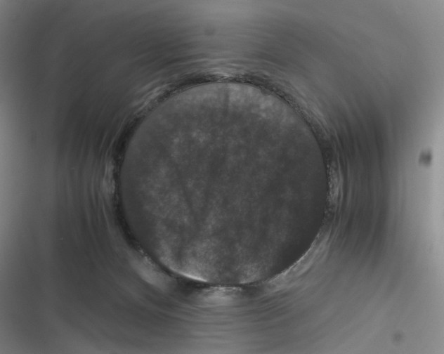 X0000116780128201001141519