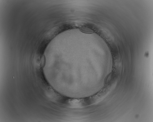 X0000116780129201001141519