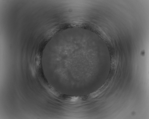 X0000116780130201001141519