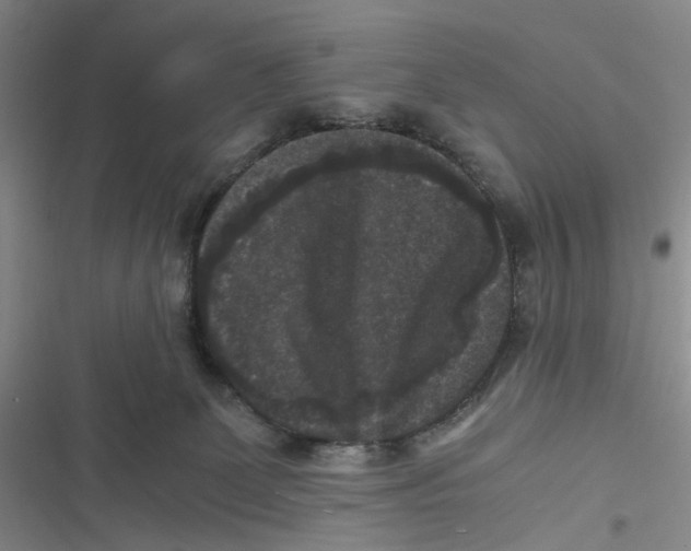 X0000116780131201001141519