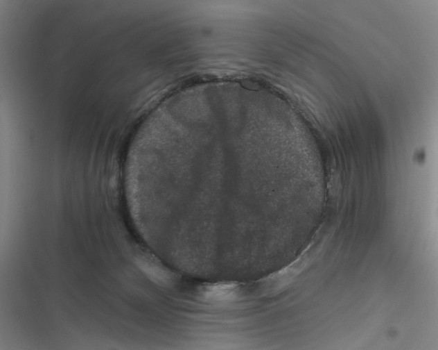 X0000116780132201001141519