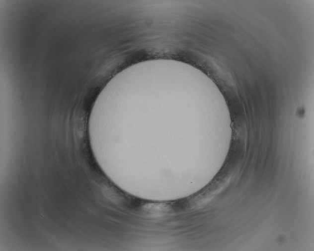 X0000116780133201001141519