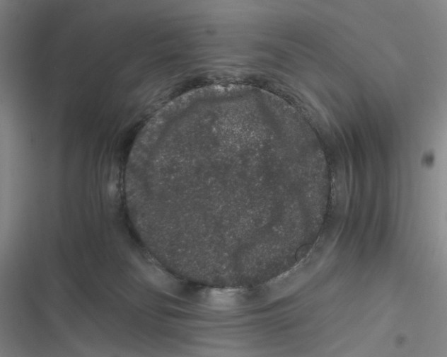 X0000116780134201001141519