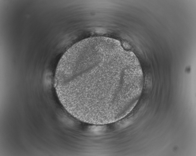 X0000116780135201001141519