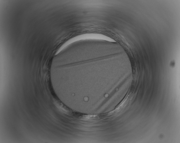 X0000116780136201001141519