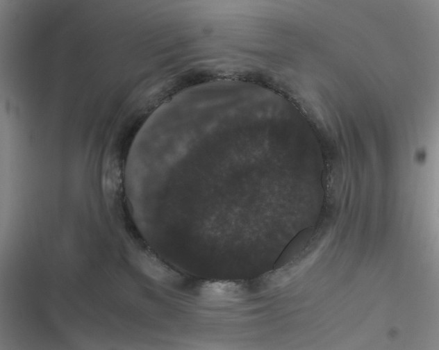 X0000116780137201001141519