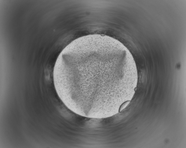 X0000116780138201001141519