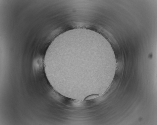 X0000116780142201001141519