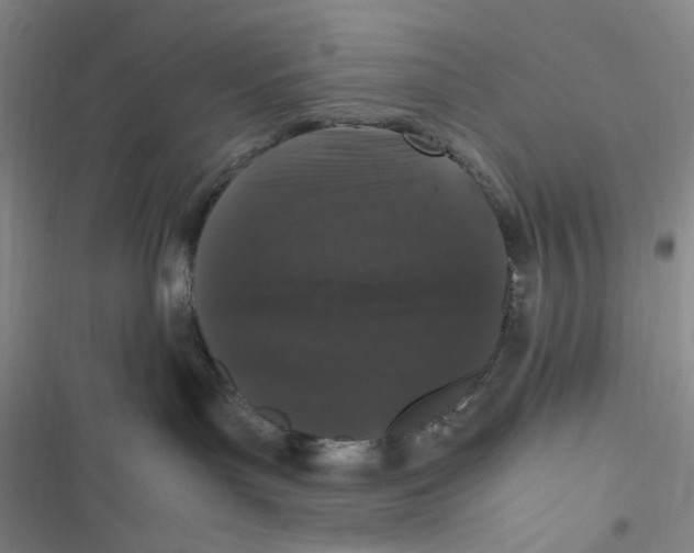 X0000116780143201001141519