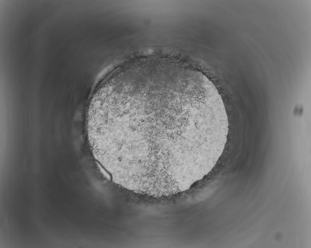 X0000116780144201001141519