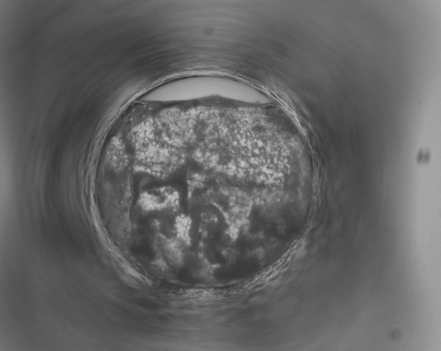 X0000116780145201001141519