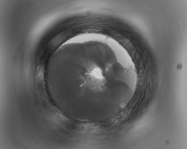 X0000116780146201001141519