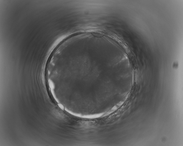 X0000116780147201001141519