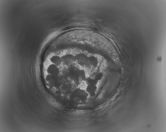 X0000116780149201001141519