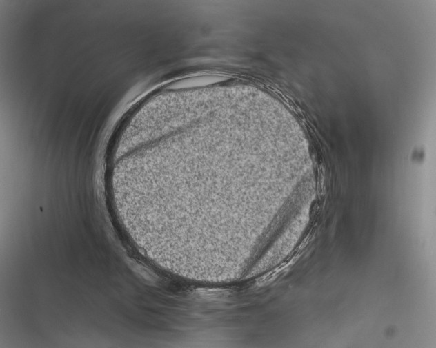 X0000116780150201001141519