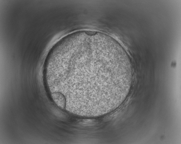 X0000116780151201001141519