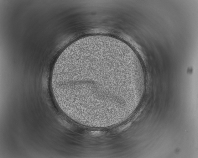 X0000116780153201001141519