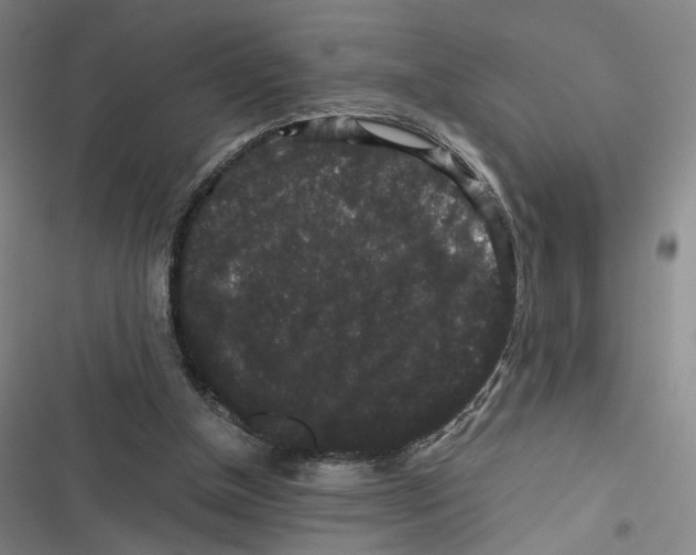 X0000116780154201001141519