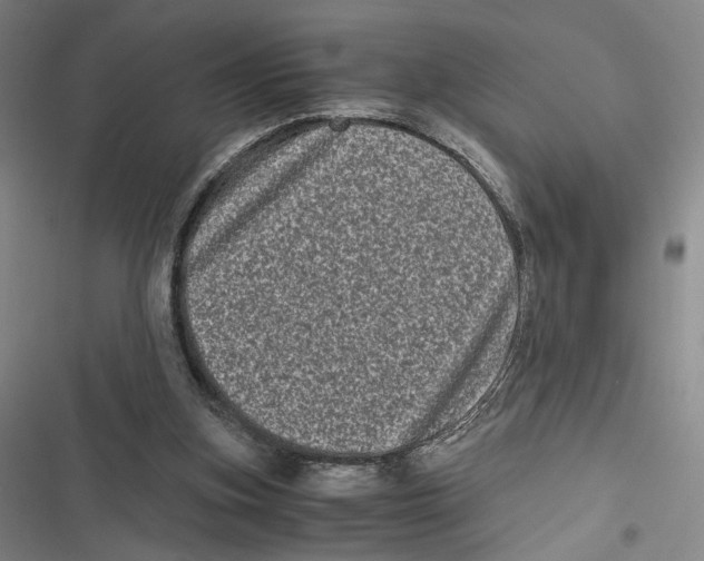 X0000116780155201001141519