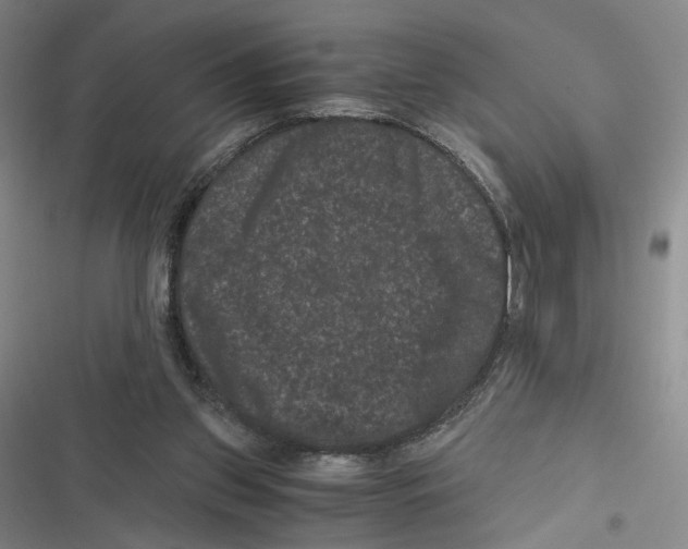 X0000116780157201001141519