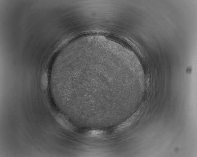 X0000116780158201001141519