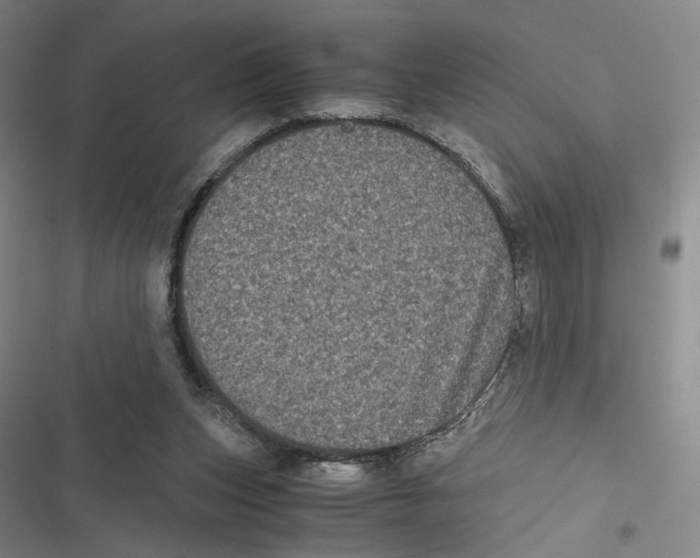 X0000116780159201001141519