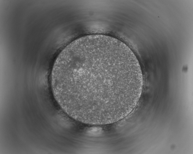 X0000116780162201001141519