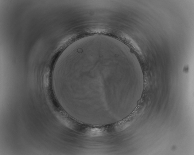 X0000116780163201001141519