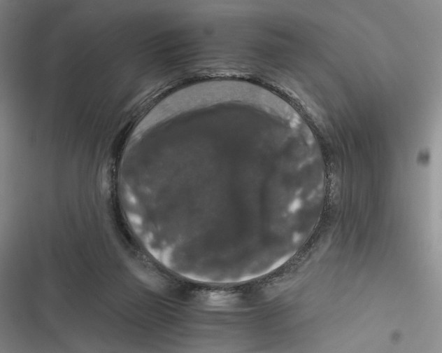 X0000116780165201001141519