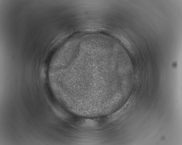 X0000116780166201001141519