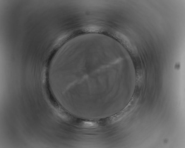 X0000116780167201001141519