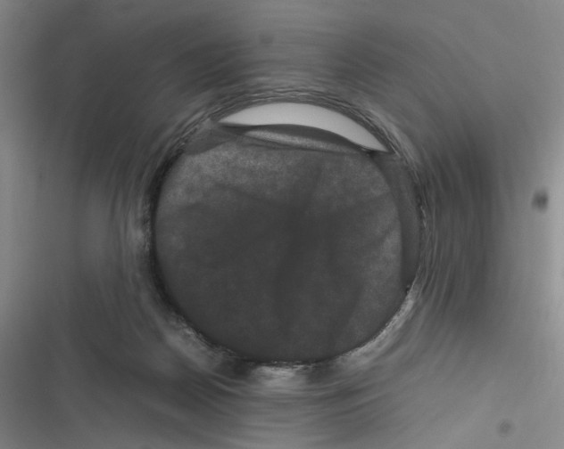 X0000116780170201001141519