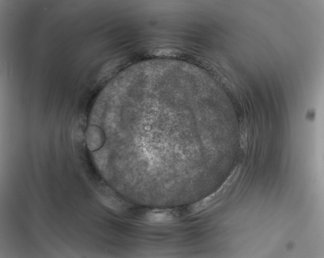 X0000116780175201001141519