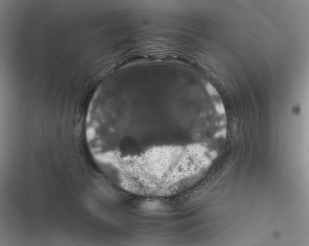 X0000116780177201001141519