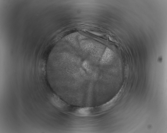 X0000116780178201001141519