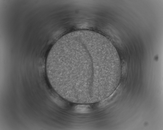 X0000116780179201001141519