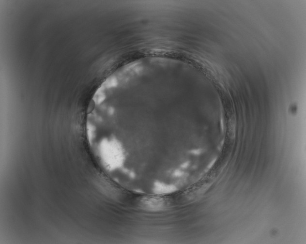 X0000116780181201001141519