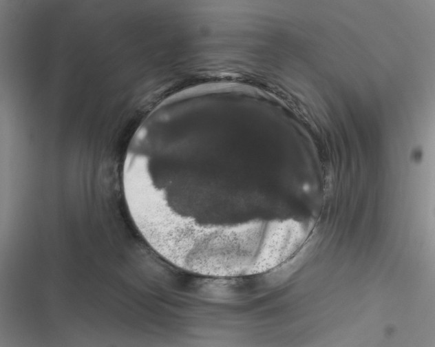 X0000116780182201001141519