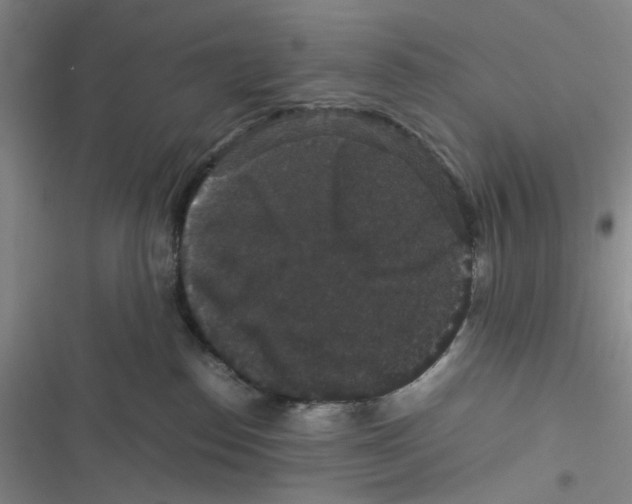 X0000116780186201001141519