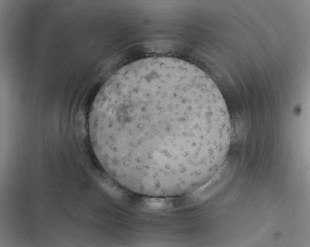 X0000116780187201001141519