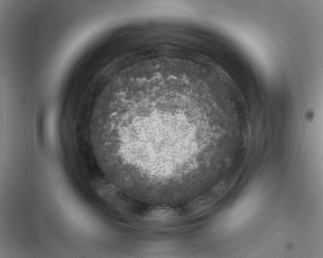 X0000116780189201001141519