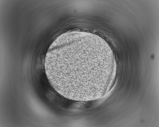 X0000116780190201001141519