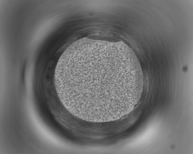 X0000116780191201001141519