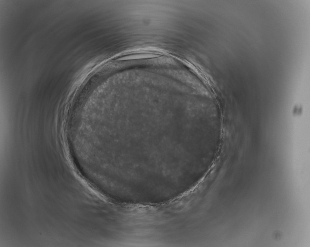 X0000116780193201001141519