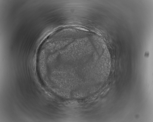 X0000116780194201001141519