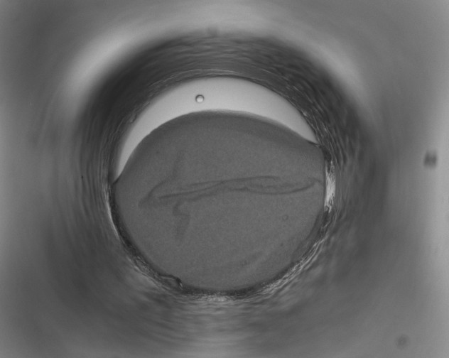 X0000116780195201001141519