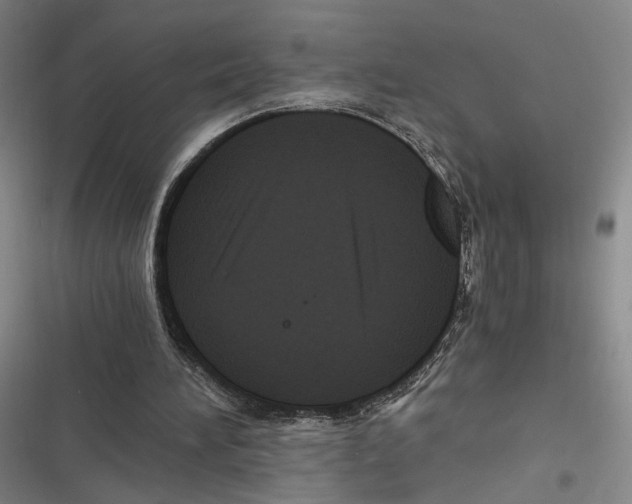 X0000116780196201001141519