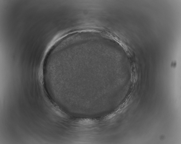 X0000116780198201001141519