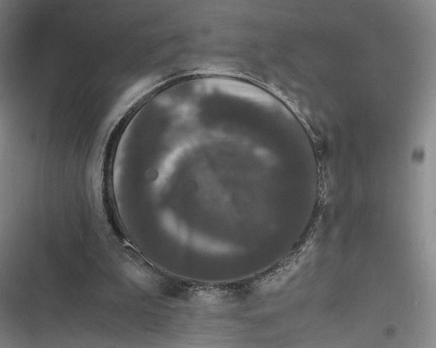 X0000116780199201001141518