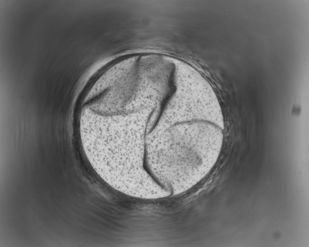 X0000116780200201001141518